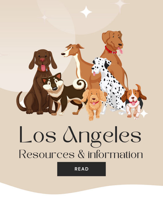 Los Angeles Fire impact