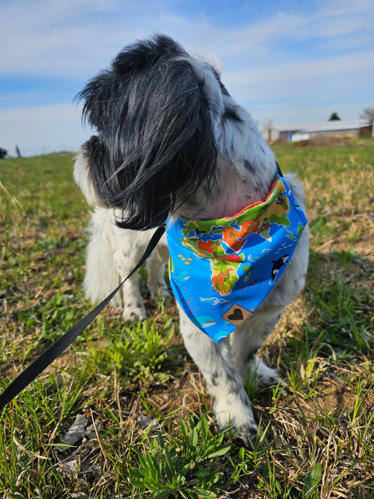 Earth day Bandana & Bow